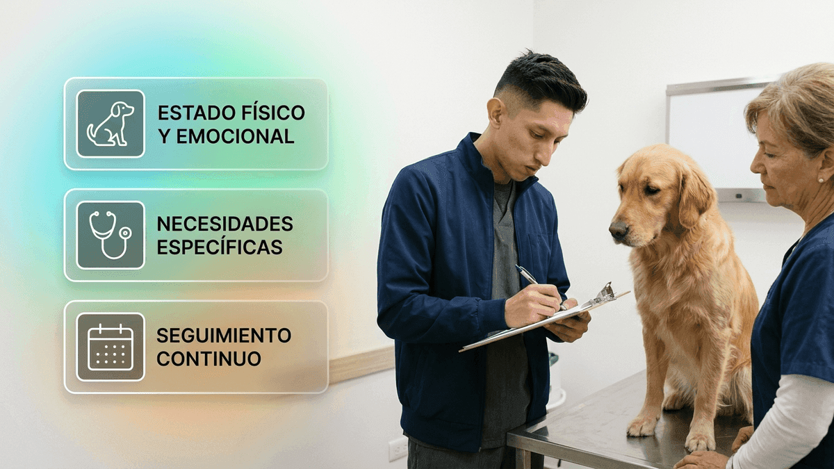 Cómo se hace una ficha de bienestar de animales