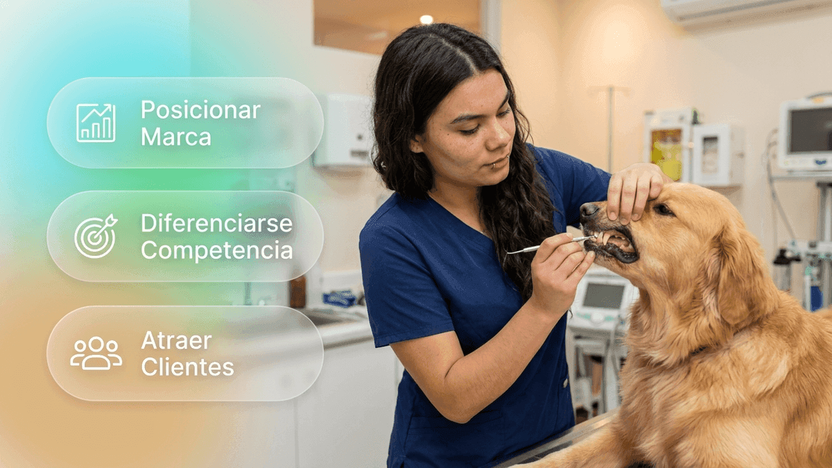 Marketing para veterinarias: 5 ideas que te ayudarán