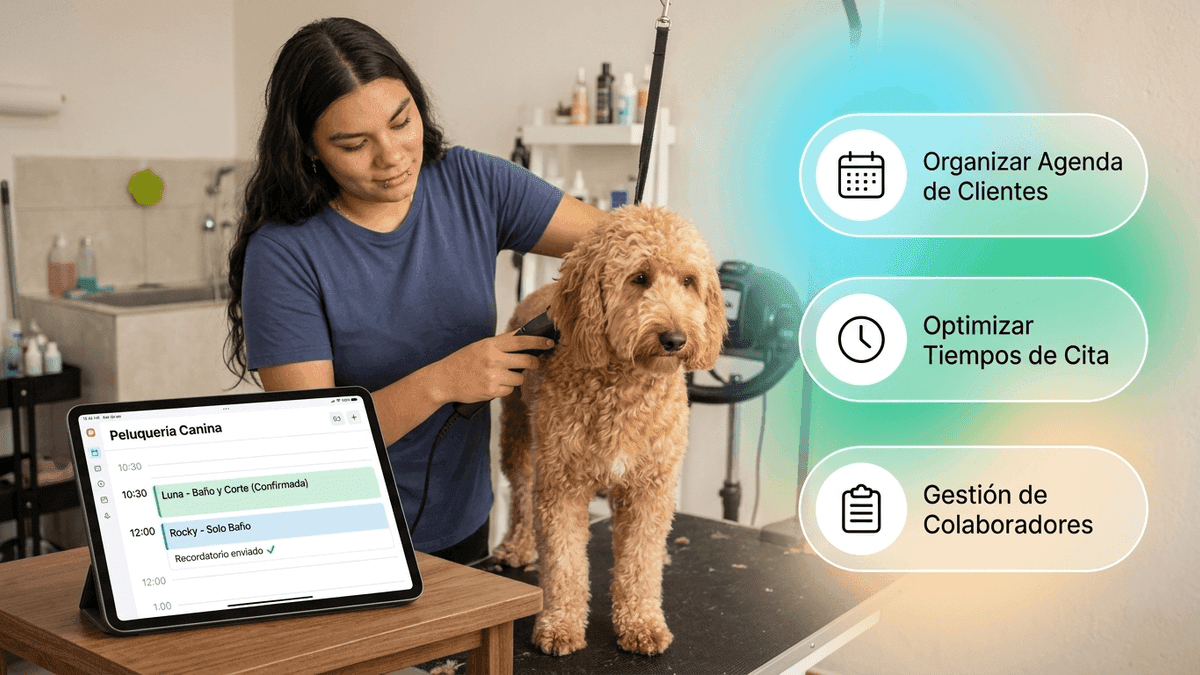 Por qué tener un programa para peluquería canina